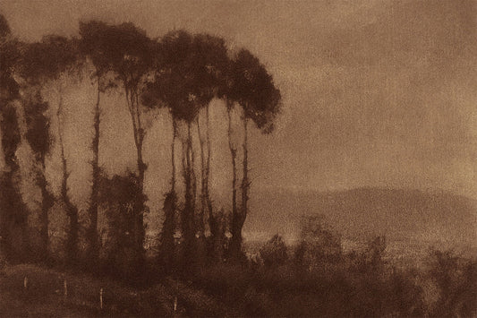 Toucques Valley