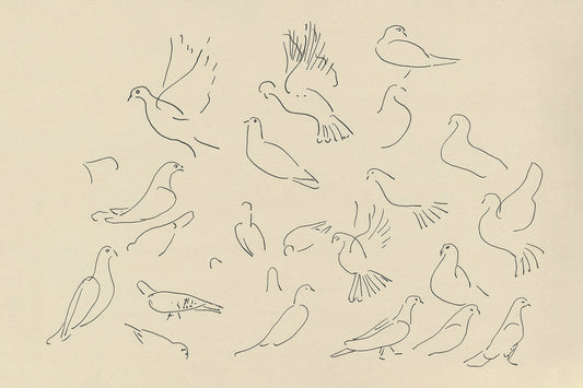 Doves