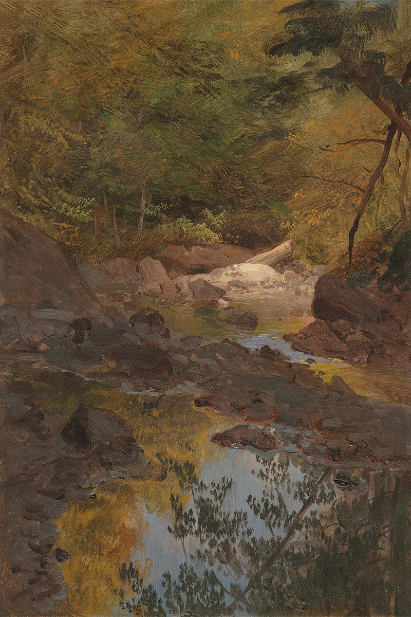 Forest Brook