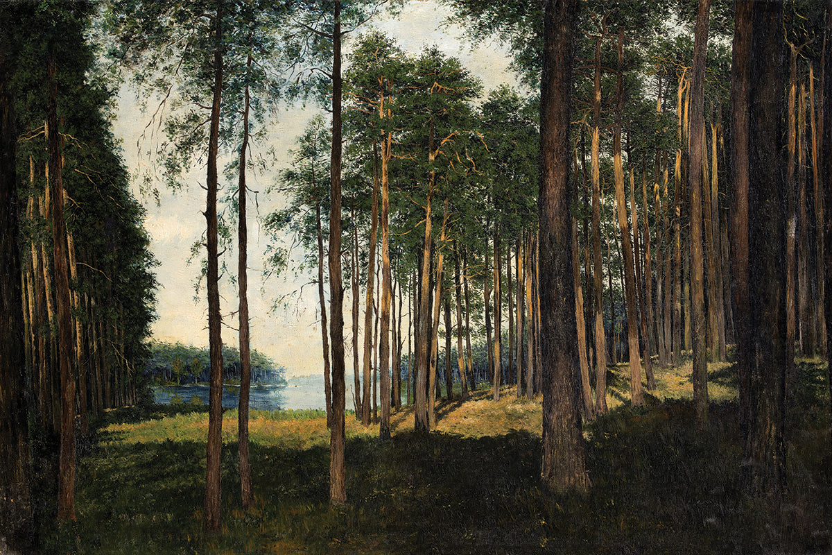 Bossen