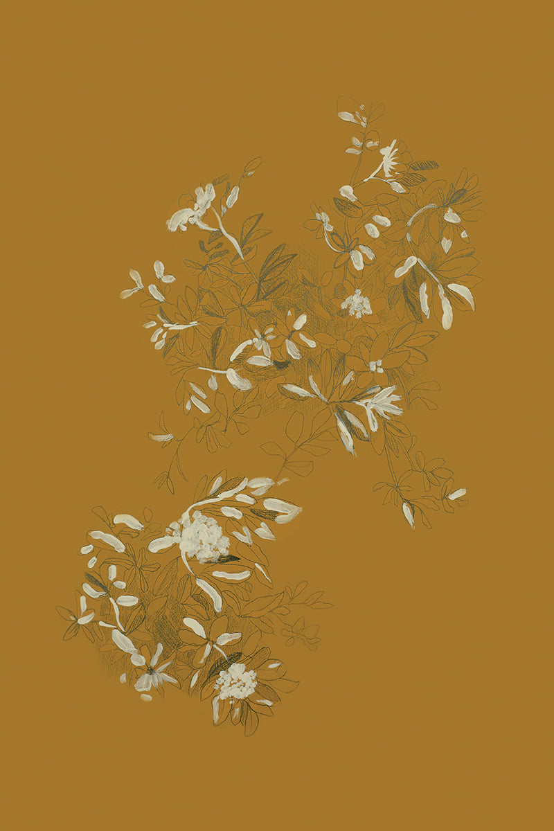 Mustard Flowers II